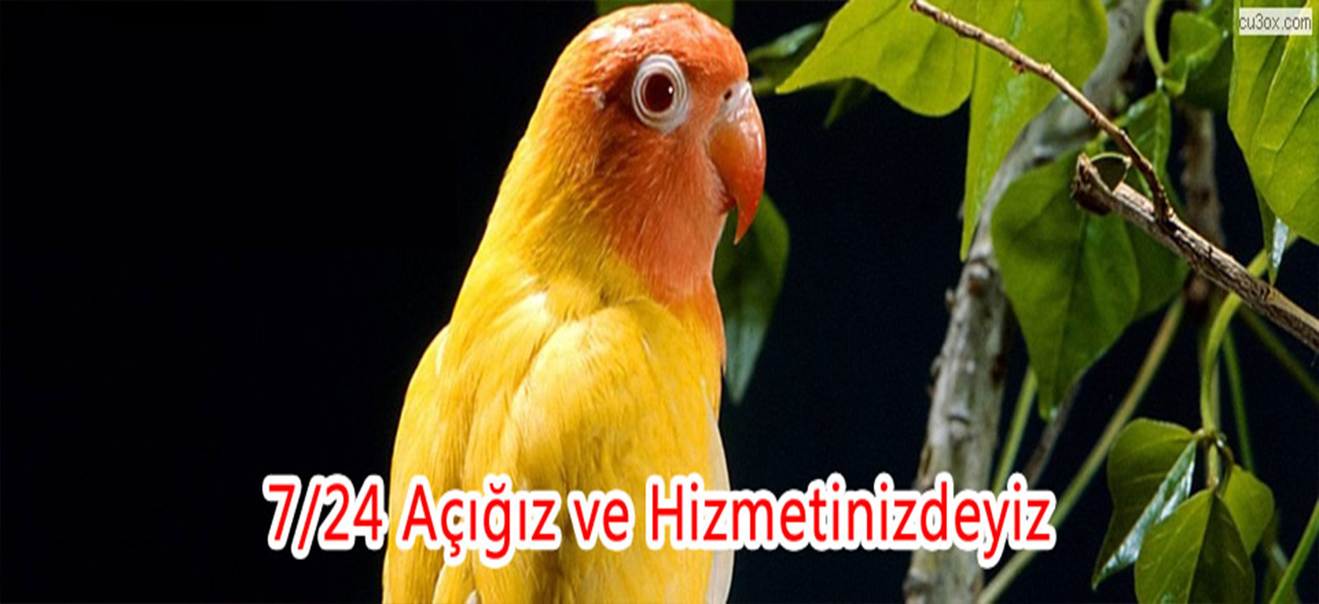 slider-2